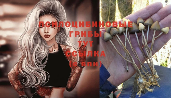каннабис Алексеевка