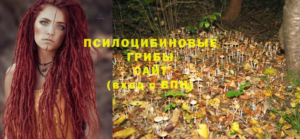 каннабис Алексеевка